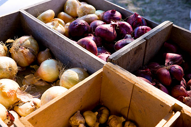 Red and white onions in the market
