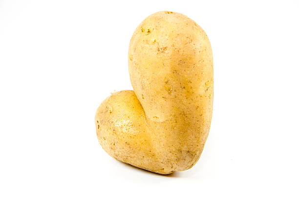 istock Fresh Brown Potato  on white background 491871357