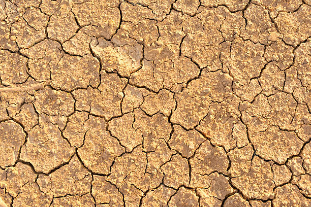 istock Abstract black and white background with cracked earth 491871400
