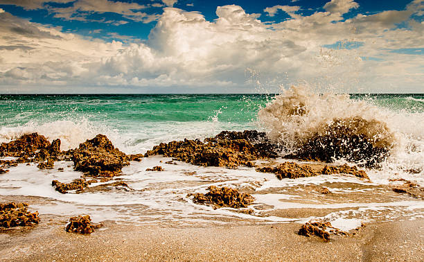 istock Waves Crashing Against the Rocks 491871451