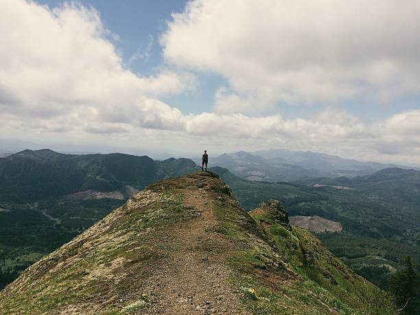 istock Successful Hiker on top of Pacific Northwest Mountain 491872187