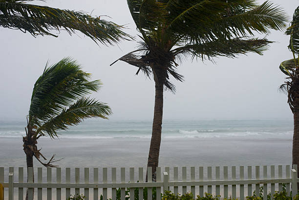 tempestade no yasawa ilhas - cyclone fence imagens e fotografias de stock