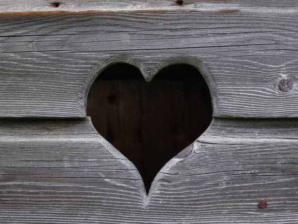 istock Heart of wood 491873772