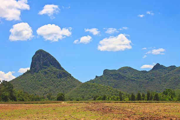 istock sugar cane field near a mountain and blue sky 491875797