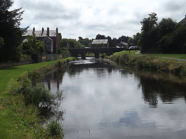 istock river bush northern ireland 491876132