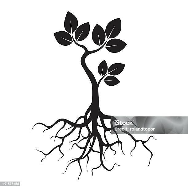 Black Tree Roots Wide Black Tree And Roots Stock Illustration - Download Image Now - 2015 ...