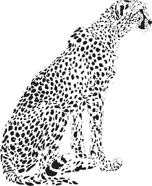 Vector illustration of Cheetah vector