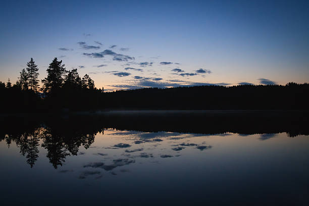 istock Calm lake scape at summer night 491889468
