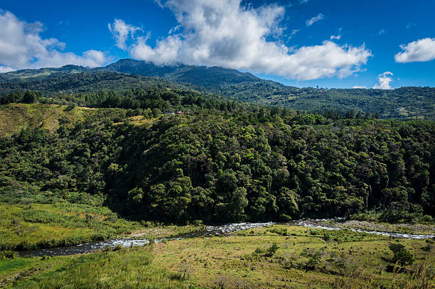 реки в долине boquete панама - baru стоковые фото и изображения