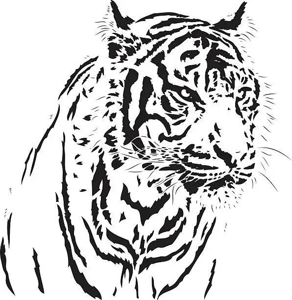 Vector illustration of Tiger illustration in black lines