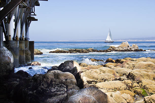 istock Monterey Ocean Coast with Sailboat 491890947