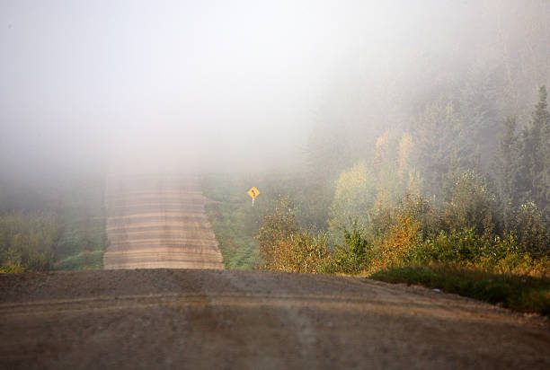 istock Morning fog over Saskatchewan road 491891709