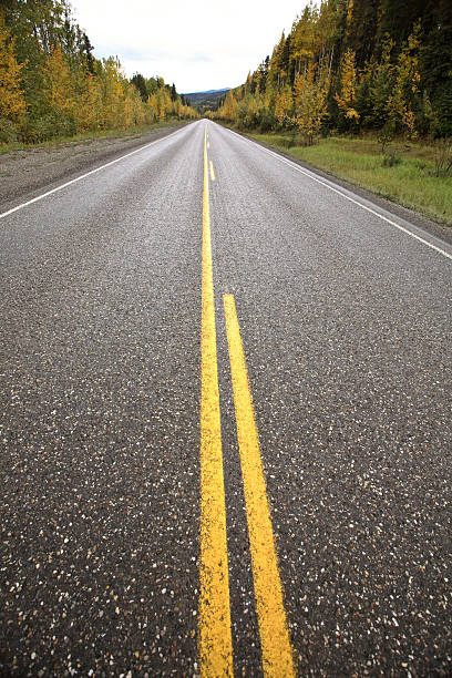 istock Centerlines along a paved road in autumn 491892081