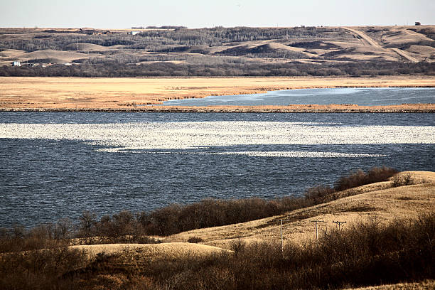 istock Snow Geese covering lake 491892125