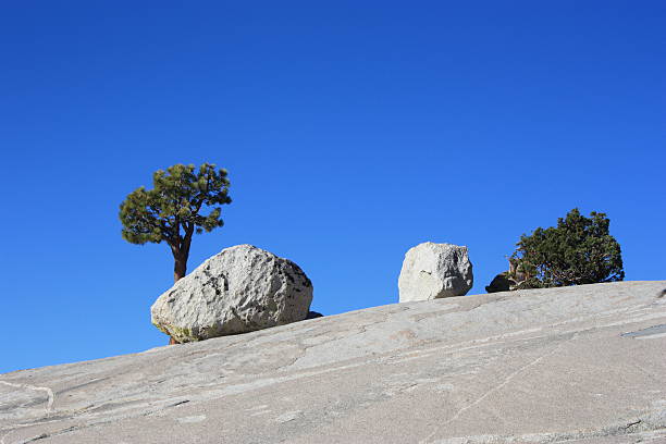 Rocks and trees stock photo