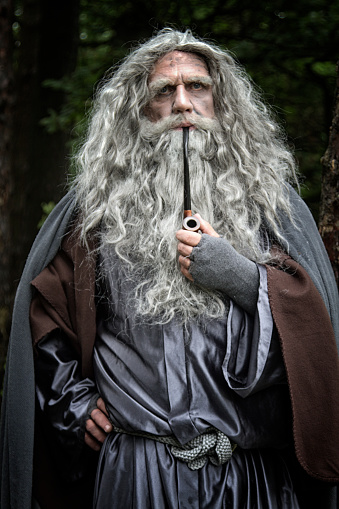 Old man in Wizard costume