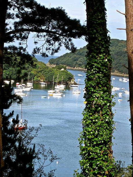 Cove on brittany coast stock photo