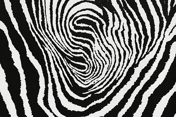 istock texture of print fabric striped zebra 491893016