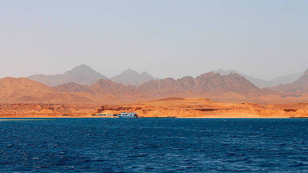 istock White Ship Moving By The Red Sea 491893036