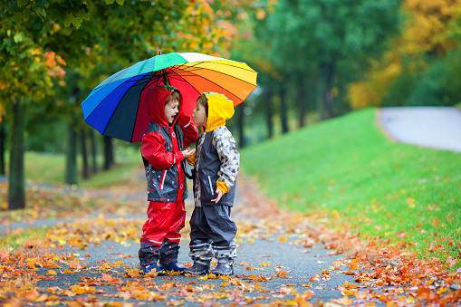 Two adorable children, boy brothers, playing in park with colorful rainbow umbrella on a rainy autumn day