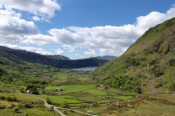 The Nant Gwynant Valley in Snowdonia, Wales View of the Nant Gwynant Valley and Llyn Gwynant in Snowdonia, Wales mount snowdon photos stock pictures, royalty-free photos & images