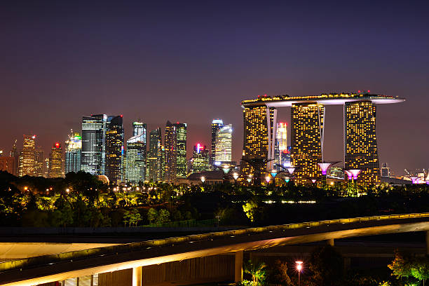 istock Singapore's financial district at night 491893625