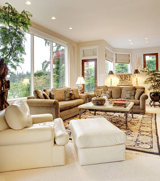 istock Living Room in Luxury Home 491894347