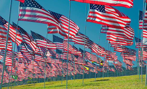 istock American Flags waving in the breeze 491894359