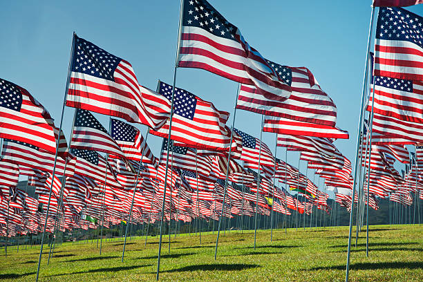 istock American Flags waving in the breeze 491894361