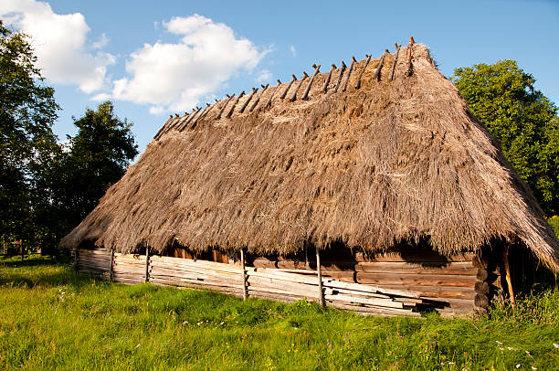 istock Wooden Straw House 491894991