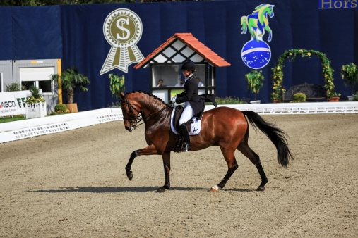Hagen a.T.W., Germany - April 25, 2014: Isabell Werth with Don Johnson FRH , Grand Prix Special CDI4*