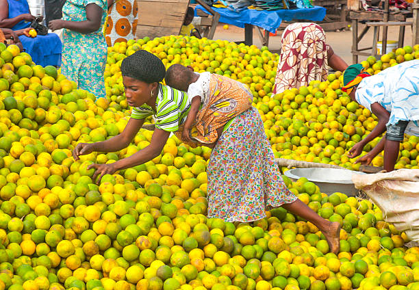 People picking oranges at the market in Ghana, Africa Esiam, Ghana - July 26, 2010: People picking oranges at the market in a small city Esiam near to the border between Ghana and Ivory Coast. ghana photos stock pictures, royalty-free photos & images