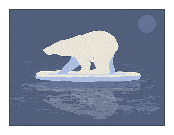 ilustraciones, imágenes clip art, dibujos animados e iconos de stock de oso polar medio - polar bear arctic global warming ice