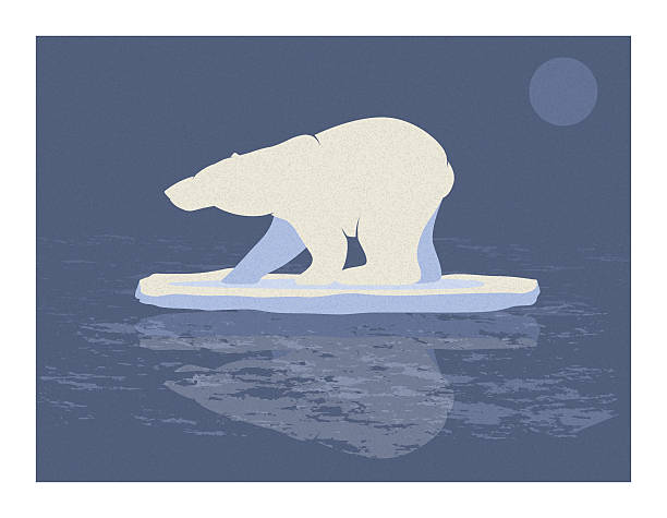 Polar Bear Illustration vector art illustration