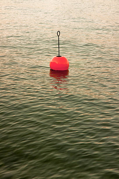 istock Red bouy by the lake 491897201