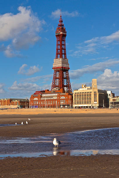 istock Blackpool Tower, Seagulls, Beach, Sea and Blue Sky 491904514