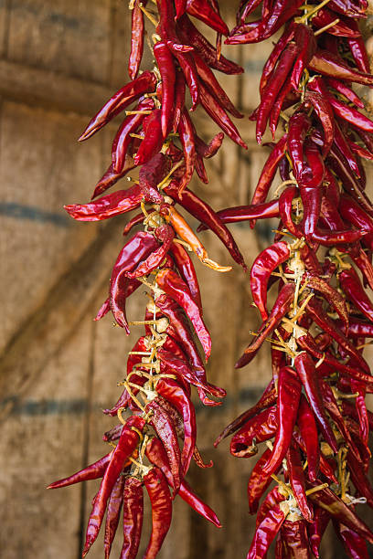 istock Strings of hot chili peppers 491904932