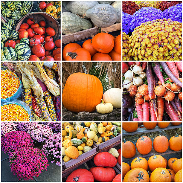 Autumn Pumpkins