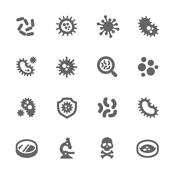 ilustrações, clipart, desenhos animados e ícones de bactéria ícones - microscope symbol computer icon laboratory