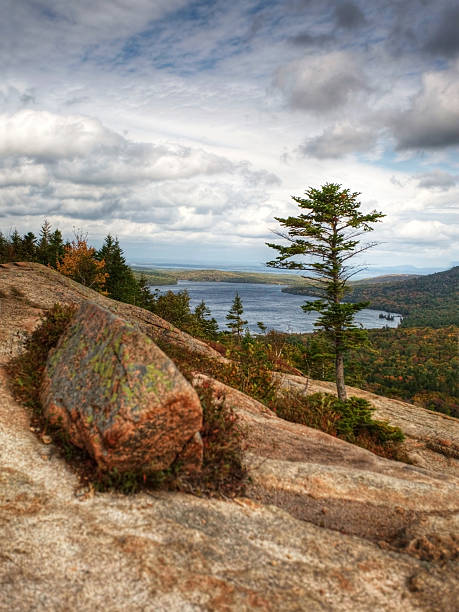 istock View from Bubble Rock in Acadia, Maine 491909404