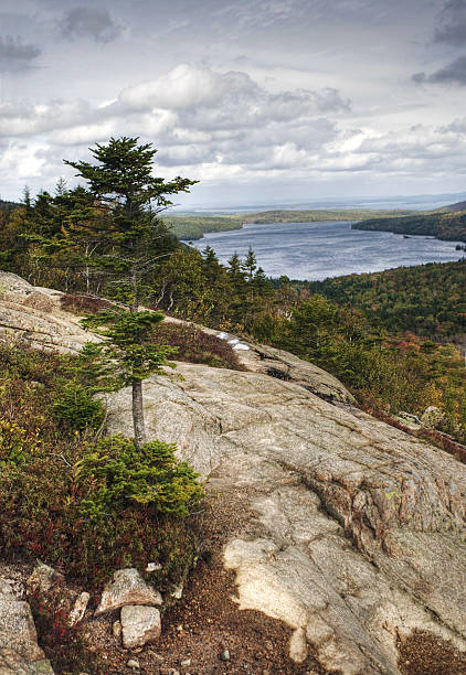 istock Vertical View from Bubble Rock in Acadia, Maine 491909420