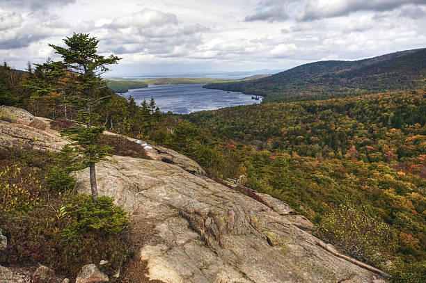 istock Vertical View from Bubble Rock in Maine 491909424