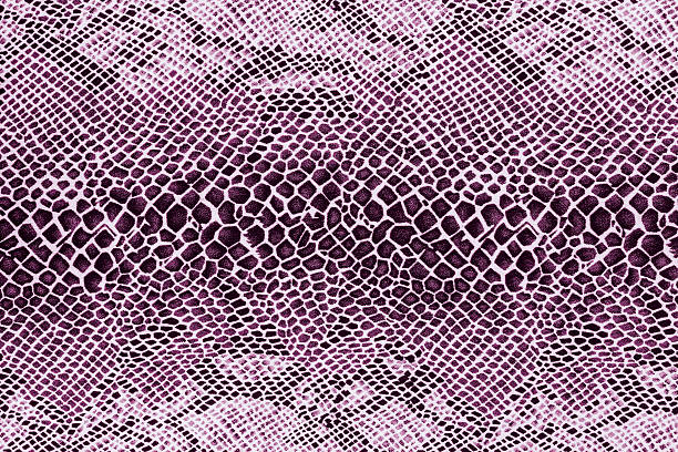 istock texture of print fabric striped snake leather 491909932