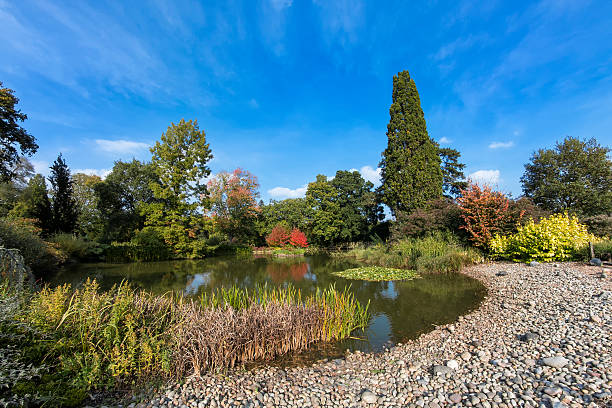 Taken on a sunny day in early Autumn. This image shows one of the ornamental lakes and it's pebble beach in Wisley Gardens . Some of the trees and shrubs around the lake have started to change to their Autumn colors. One bush especially has turned bright red. The colors are reflected on the smooth surface of the lake water. Location; Wisley Gardens, Surrey, UK  
