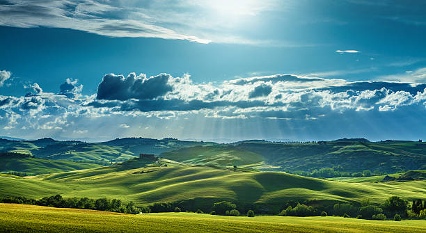 istock Landscape in Tuscany 491910679