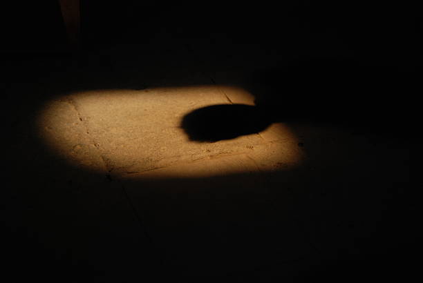 Shadow of a head in golden morning sunlight on stone ground