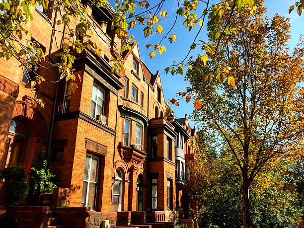 istock Brick rowhouses in Washington, DC 491911670