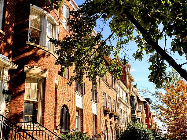 istock Brick rowhouses in Washington, DC 491911672
