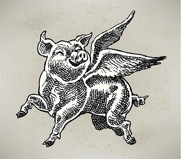 illustrazioni stock, clip art, cartoni animati e icone di tendenza di maiali che volano - when pigs fly