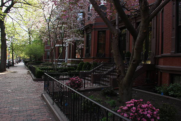 istock Boston Brownstone with Apple Blossoms 491912343